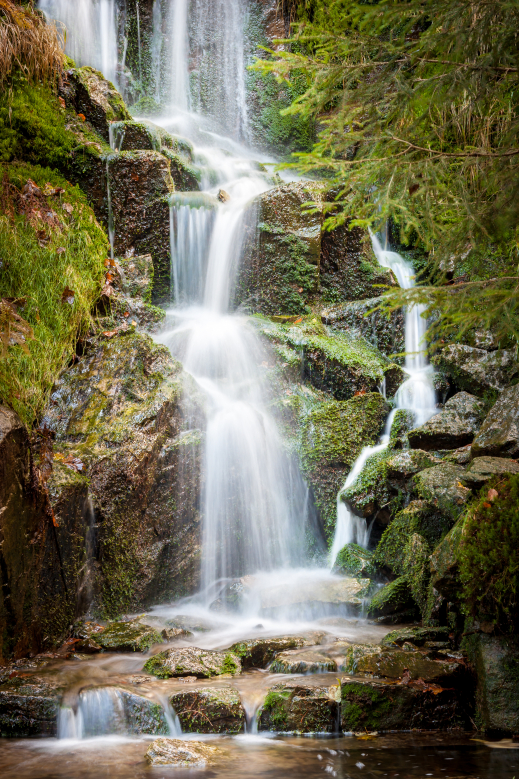 AdobeStock_169873640_2592x3888.jpeg